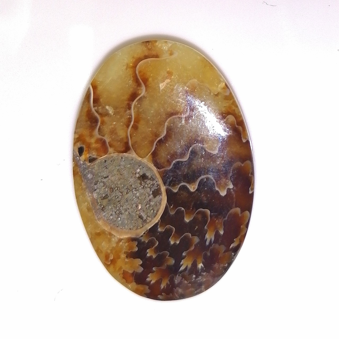 Amonit kamień ozdobny – kaboszon na wisiorek
